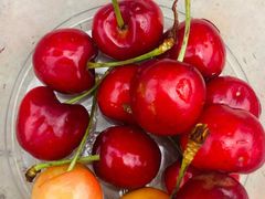 -金陵中学(河西分校)