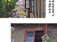 -武汉大学-樱园