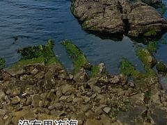 -养马岛旅游度假区