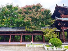 -祥源·阜阳生态乐园