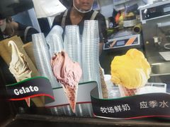 -野人先生现做冰淇淋(北京顺义祥云小镇店)
