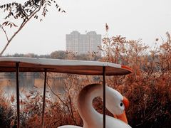 -大港湿地公园