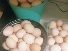 -韩家墅海吉星农产品批发市场