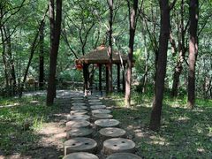 -井塘古村