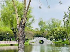 -橘子洲景区