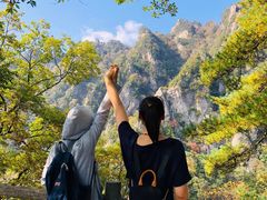 -王顺山国家森林公园