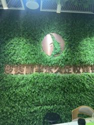 -变美丽半永久纹眉连锁·机器野生眉•洗眉