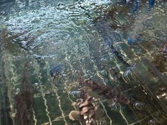 -小山寨(天润城店)