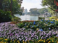 -荔湾湖公园