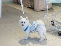 -怪兽屋·羊驼·猫咖·狗咖(俊华广场店)