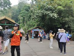 -西双版纳原始森林公园