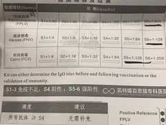 -凯特喵百思猫专科医院