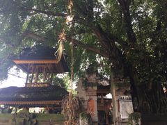 -乌布德传统市场