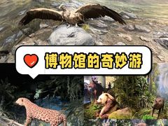 -四川大学博物馆