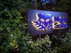 -夜间野生动物园