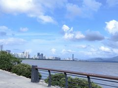 -福田红树林生态公园