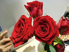 -AFS Cafe & Canteen(闽江二路店)