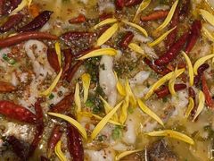 -新太二·鲜料川菜(智慧城广百店)