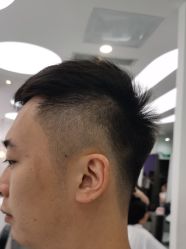 -YESIDO椰岛造型