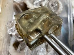 切片土笋冻-铭聚章鱼土笋冻(松柏店)