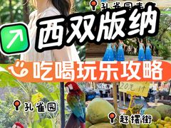 -西双版纳傣族园