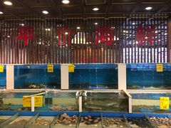 水产区-北塘海鲜·天津菜(大光明桥旗舰店)