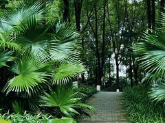 -重庆彩云湖湿地公园