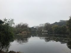 -贵阳市花溪国家城市湿地公园