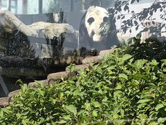 -青藏高原野生动物园