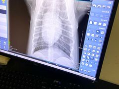 -艾贝尔宠物医院 ·内科全科(梁溪路店)