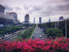 -珠江夜游广州塔·中大码头