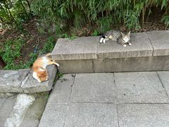 -崂山巨峰游览区