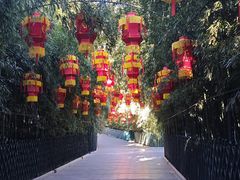 -红螺寺