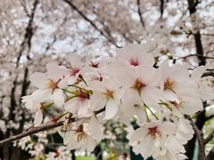 -闵行体育馆-停车场