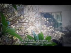 android_upload_pic-武商摩尔影城(国广IMAX激光店)