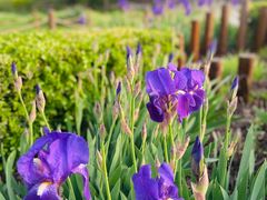 -国家植物园南园