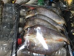 烤鱼-新疆风味冷水鱼庄(友谊峰路店)