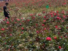 -漩门湾国家湿地公园