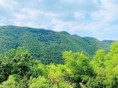 -天目湖松岭竹海漂流