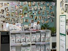 -爱妮康宠物医院·干细胞免疫细胞·肿瘤·心脏(张江店)