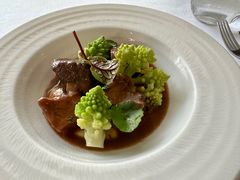 -蝶舍·MAISON PAPILLON