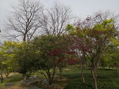 -苏州金鸡湖大酒店