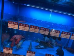 -协成海鲜火锅(海洋花园店)