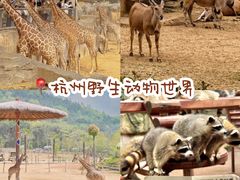 -杭州野生动物世界