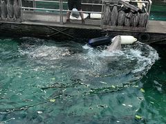 -悉尼海洋生物水族馆