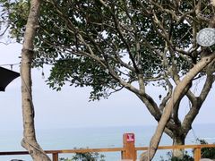-美人鱼悬崖海景餐厅(鹿嘴山庄店)