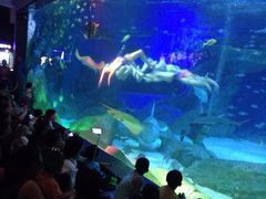 -成都浩海立方海洋公园