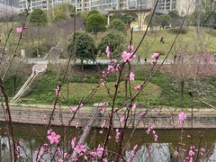 -重庆彩云湖湿地公园
