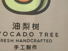 -油梨树AVOCADO TREE(望京店)