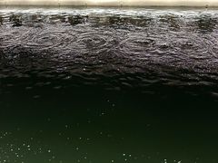 -DGE季风钓虾营地·团建·聚会